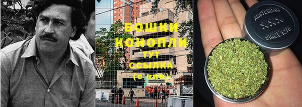 хмурый Богородск