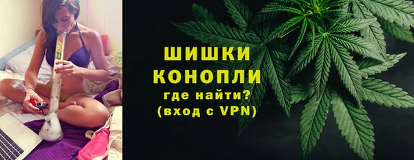 хмурый Богородск